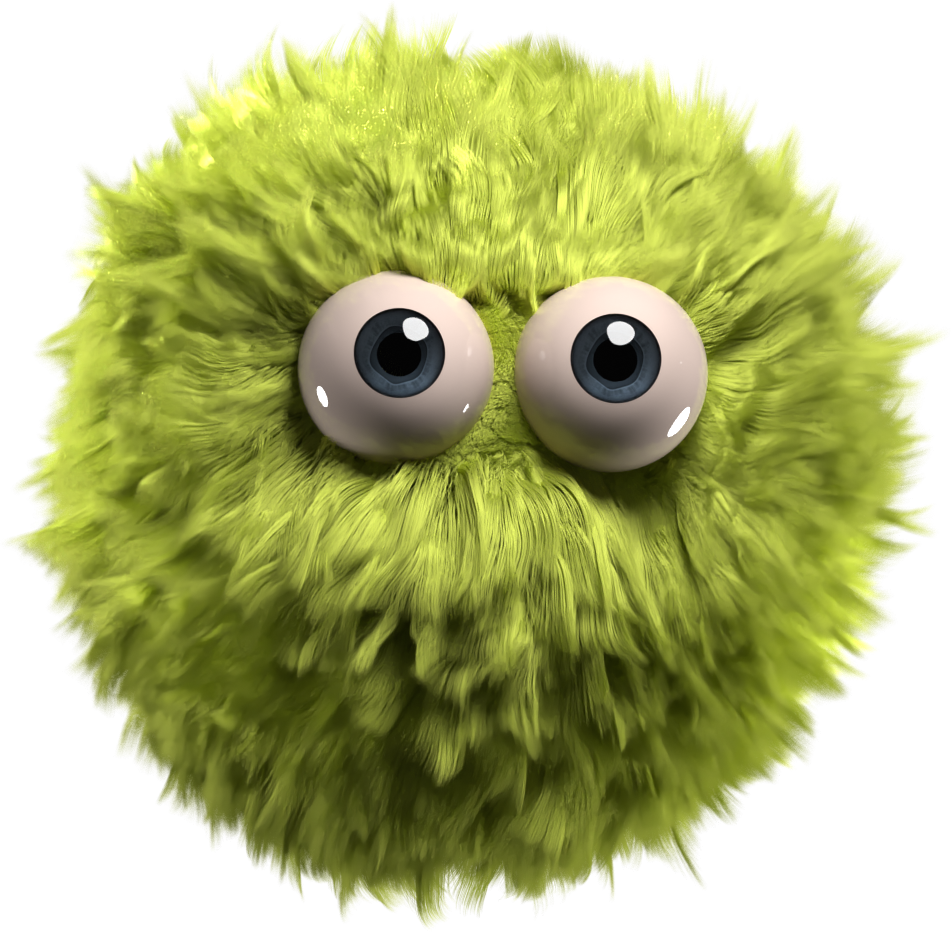 BiBi_Creation_Site_Web