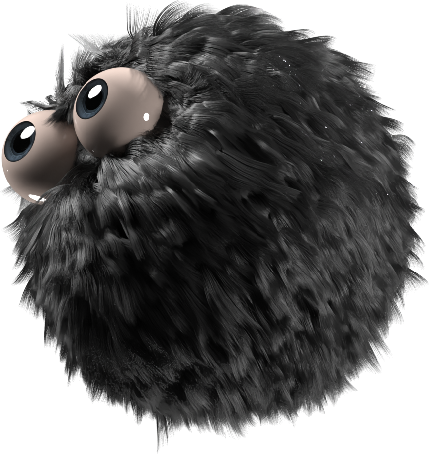 BiBi_Creation_Sondage